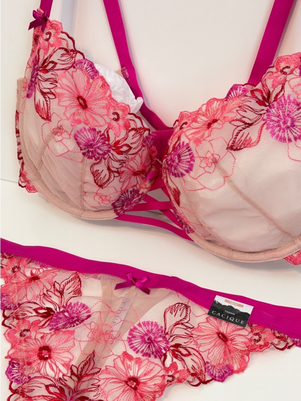 Cacique Nude and Hot Pink Floral Embroidered Underwire Bra & Bikini - Picture 3 of 13